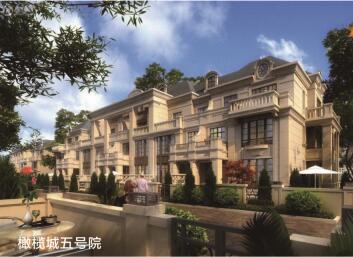 橄欖城五號(hào)院安裝木質(zhì)防火門(mén)